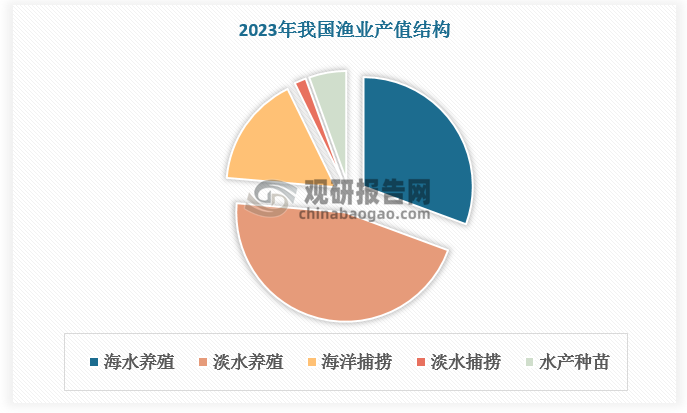海洋渔业也是传统第一产业渔业的重要组成部分。2023年我国海洋养殖年产值已达4885亿元，占渔业总产值的比重为31%；海洋捕捞年产值已达2618亿元，占渔业总产值的比重为16% ；水产种苗（海水+淡水）年产值已达276亿元，占渔业总产值的比重为6%。海洋养殖、海洋捕捞、水产种苗三者合计产值接近8000亿元，总占比超50%。