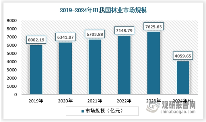 随着人民生活水平的提高和对生态环境质量的关注增加，市场对于高质量林产品和服务的需求持续增长，特别是高品质、环保型林产品更受市场青睐，促进了行业的持续扩大。2024年上半年，我国林业市场规模约为4059.65亿元，保持持续的增长态势。