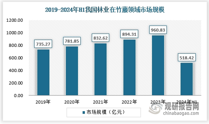 竹子是森林资源之一。全世界竹类植物约有70多属1,200多种，主要分布在热带及亚热带地区，少数竹类分布在温带和寒带。竹子是常绿（少数竹种在旱季落叶）浅根性植物，对水热条件要求高，而且非常敏感，地球表面的水热分布支配着竹子的地理分布。当上层林木砍伐后，竹子以生长快、繁殖力强的特点很快恢复成次生竹林。竹子用途不断扩大，经济价值高，人们植竹造林，形成人工林。次生竹林和人工竹林，又以它强大的地下茎向四周蔓延扩大。2024年上半年，林业在竹藤领域的市场规模约为518.42亿元。